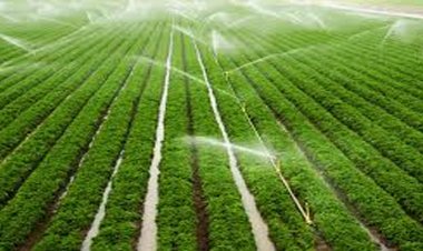 दो सिंचाई योजनाओं के कार्यों के लिए 6.58 करोड़ रूपए स्वीकृत