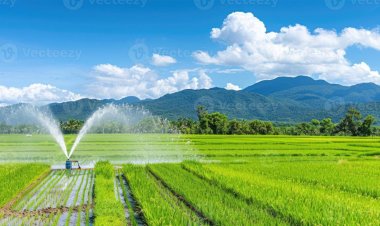 किकिरगेटा उद्वहन सिंचाई योजना हेतु 30.68 करोड़ की पुनरीक्षित स्वीकृति….