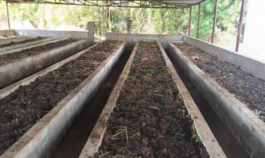 वर्मी कंपोस्ट उत्पादन बनी आत्मनिर्भरता की मिसाल