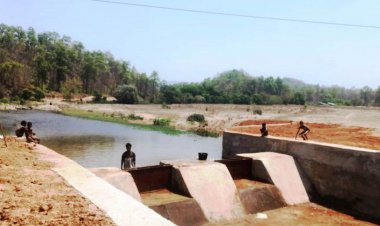 चेकडैम बना ग्रामीण आत्मनिर्भरता का मजबूत आधार, जल संरक्षण से बदली खेती की तस्वीर