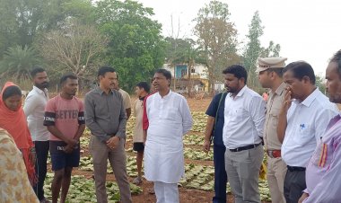 वन मंत्री ने तेंदूपत्ता फड़ दहिकोंगा का किया औचक निरीक्षण तेंदूपत्ता संग्राहकों से किया संवाद
