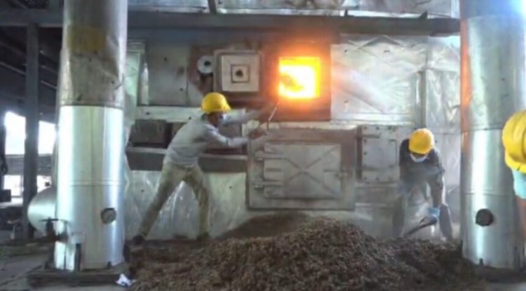 छत्तीसगढ़ में यहां नष्ट किया गया 5 करोड़ 2 लाख का गांजा, वीडियो देखकर हो जाएंगे हैरान