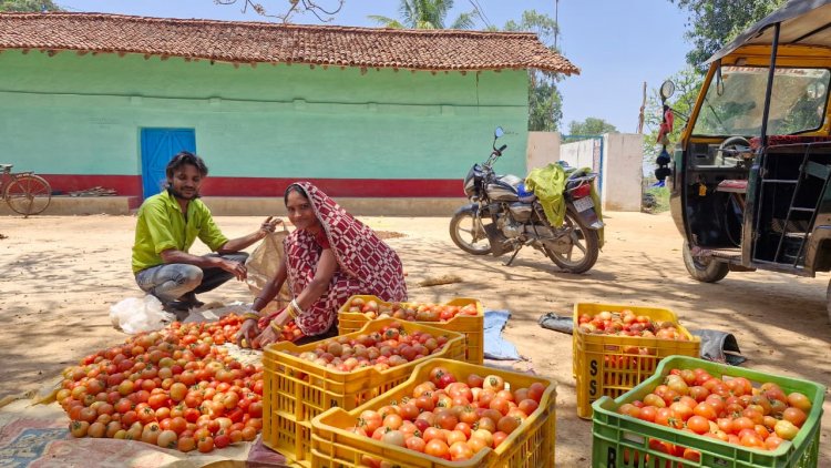 साय सरकार की पहल से सशक्त हुई महिलाएं : हमेश्वरी राठौर बनीं “लखपति दीदी”