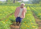 धान छोड़ फूलों की खेती ने बदली आनंदराम की तकदीर, 22 हजार के बदले कमाए 3 लाख रुपए, गेंदा उत्पादन से कोड़केल के किसान ने पेश की सफलता की मिसाल…..