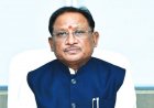 ELECTION NEWS: भाजपा की बढ़त पर CM साय ने जताई खुशी: चुनावी रुझानों पर दी प्रतिक्रिया, कहा- जनता के विश्वास और भाजपा सरकार के कार्यों का परिणाम