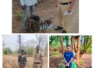 उजियारा अभियान में तहत् थाना नरहरपुर पुलिस में अवैध अंग्रेजी एवं देशी प्लेन शराब अधिक मात्रा में परिवहन करने वालों के विरूद्व दर्ज अपराध दर्ज