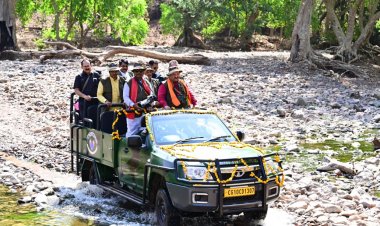 भोरमदेव जंगल सफारी: घने जंगलों के बीच रोमांच का नया सफर
