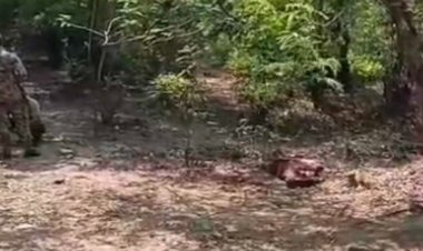 CG-खून से लथपथ मिली युवक की लाश, हत्या या फिर….इलाके में सनसनी