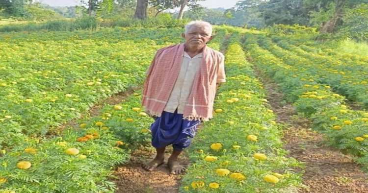 धान छोड़ फूलों की खेती ने बदली आनंदराम की तकदीर, 22 हजार के बदले कमाए 3 लाख रुपए, गेंदा उत्पादन से कोड़केल के किसान ने पेश की सफलता की मिसाल…..