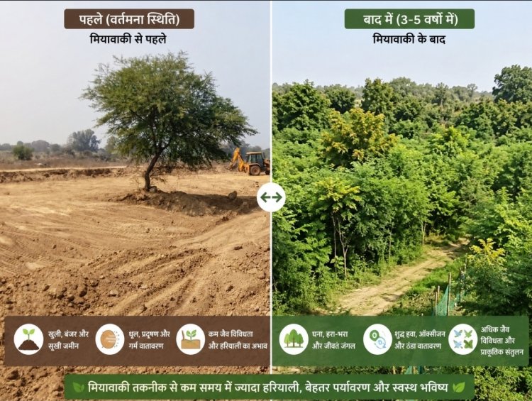 जापानी तकनीक से तैयार हो रहा सघन वन, 15 हजार पौधों से बढ़ेगी हरियाली और जैव विविधता