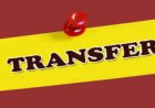 CG TRANSFER : बड़ी संख्या में जनपद सीईओ के तबादले, सहायक परियोजना अधिकारी भी इधर से उधर, देखें आदेश..!!