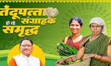 तेन्दूपत्ता संग्राहकों को मिली बड़ी राहत, पहले चरण में 12 हजार से अधिक हितग्राहियों के खातों में पहुंचे 12 करोड़