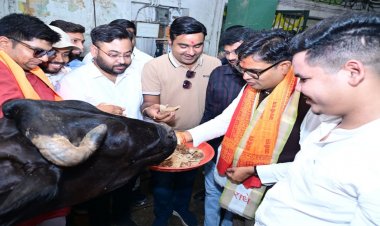 जन्मदिवस के अवसर पर वित्त मंत्री ओपी चौधरी ने की गौ-सेवा, संरक्षण के प्रयासों को सराहा