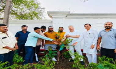 भाजपा प्रदेश कार्यालय में विश्व पर्यावरण दिवस पर हुआ पौधरोपण