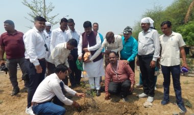 संजय श्रीवास्तव द्वारा नागरिक आपूर्ति निगम में वृक्षारोपण किया गया