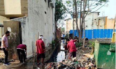 महापौर गैंग मे 80 कर्मचारी एवं सेंट्रल गैंग में 50 कर्मचारी नियमित रूप से कार्यरत है।