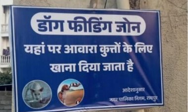माननीय उच्च न्यायालय के आदेश के परिपालन में रायपुर नगर निगम अंतर्गत निर्धारित वार्डो में स्ट्रीट डॉग्स हेतु फीडिंग जोन के लिए स्थल चिन्हांकन कर लिया गया