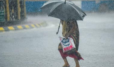 IMD ने जारी किया अलर्ट, पूर्वोत्तर, असम और मेघालय में भारी बारिश का पूर्वानुमान