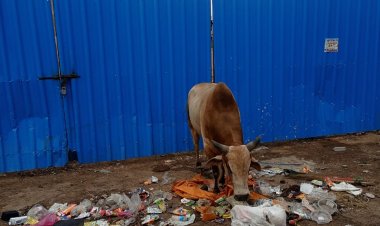 सरोवर हमारी धरोहर केवल नारा - कन्हैया...