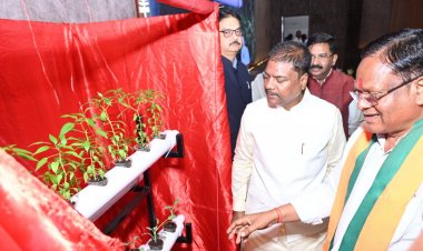 हाइड्रोपोनिक्स तकनीक : खेती का नया और स्मार्ट विकल्प….