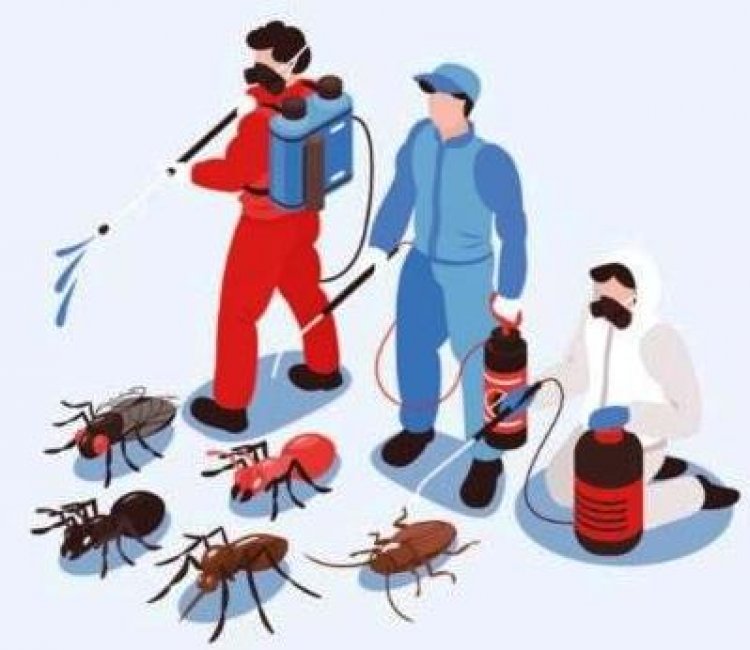 हर साल 6 जून को विश्व कीट दिवस (World Pest Day) मनाया जाता है। इसके साथ ही हर साल 6 जून से 20 जून तक विश्व कीट दिवस पखवाड़ा भी मनाया जाता है।