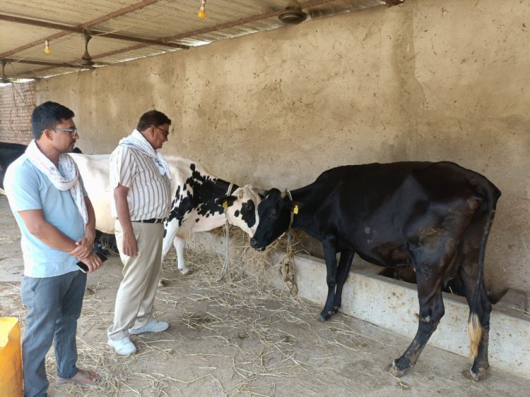 किसानों की अतिरिक्त आमदनी का जरिया है दुग्ध उत्पादन