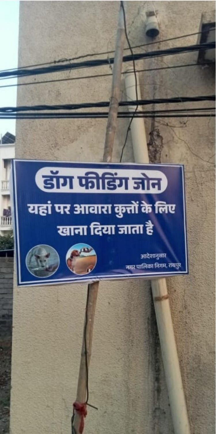 माननीय उच्च न्यायालय के आदेश के परिपालन में रायपुर नगर निगम अंतर्गत निर्धारित वार्डो में स्ट्रीट डॉग्स हेतु फीडिंग जोन के लिए स्थल चिन्हांकन कर लिया गया