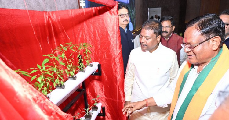 हाइड्रोपोनिक्स तकनीक : खेती का नया और स्मार्ट विकल्प….