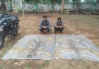 वन विभाग की बड़ी कार्रवाई : दो बाघ की खाल के साथ दो तस्कर गिरफ्तार