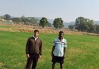 कम लागत, दोगुना फायदा : जशपुर के किसान ने गेहूं की खेती से बढ़ाई आमदनी