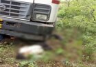 ब्रेकिंग : तेज रफ्तार ट्रक ने बाइक सवार तीन युवकों को रौंदा, 2 की मौके पर मौत, एक की हालत गंभीर