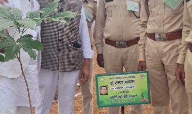 वन एवं जलवायु परिवर्तन विभाग के तत्वावधान में नवा रायपुर में हुआ बृहद वृक्षारोपण, विधायक डॉ. संपत अग्रवाल ने दी मां के प्रति अनूठी श्रद्धांजलि