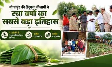 बीजापुर ने रचा इतिहास : तेंदूपत्ता नीलामी में वर्षों का सर्वाधिक रिकॉर्ड मूल्य, वन मंत्री केदार कश्यप ने दी बधाई