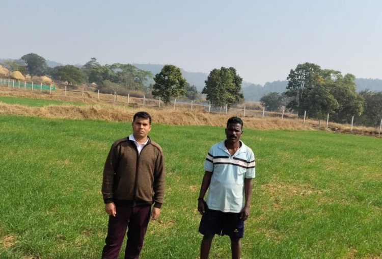 कम लागत, दोगुना फायदा : जशपुर के किसान ने गेहूं की खेती से बढ़ाई आमदनी