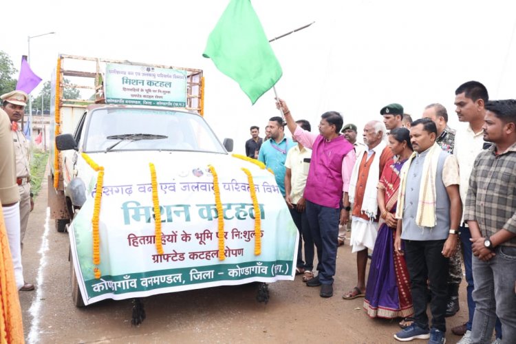 वन महोत्सव पर मंत्री केदार कश्यप ने किया पौधरोपण, 'एक पेड़ माँ के नाम' अभियान से दिया पर्यावरण संरक्षण का संदेश