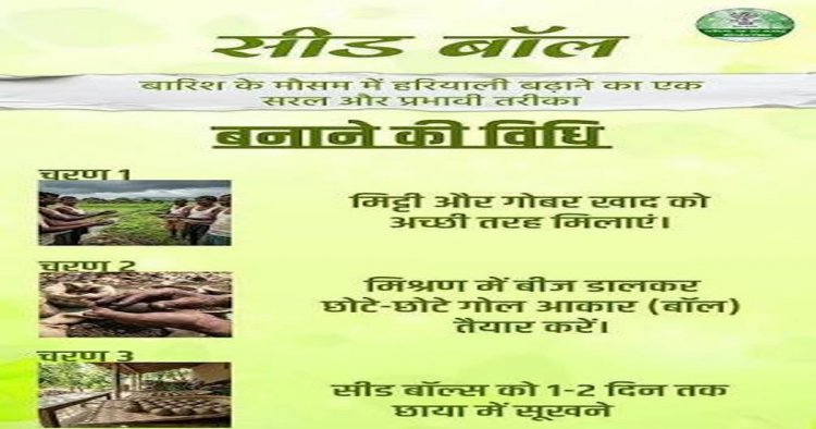 विशेष लेख : सीड बॉल अभियान- हरियाली बढ़ाने का सरल और प्रभावी माध्यम  जनभागीदारी से साकार हो रहा हरित छत्तीसगढ़ का संकल्प
