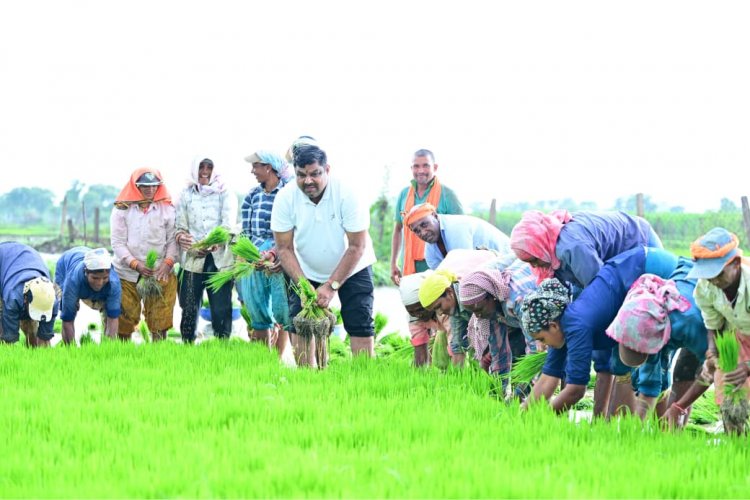 कृषि कार्यों में शामिल हुए शिक्षा मंत्री गजेन्द्र यादव