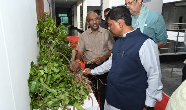 औषधि पौधों की खेती किसानों की आय बढ़ाने का प्रभावी माध्यम: वन मंत्री  केदार कश्यप