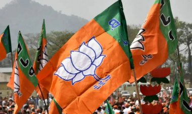 छत्तीसगढ़ BJP में संगठनात्मक नियुक्तियां : 15 नगरीय निकायों के लिए प्रभारी-सहप्रभारियों की सूची जारी