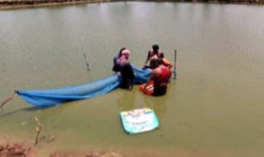 तालाब बना आत्मनिर्भरता का आधार, वैज्ञानिक मत्स्य पालन से कामिनी की सालाना आय 2 लाख रुपये