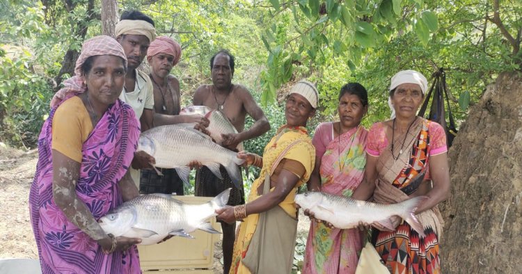 विष्णु भैया की पहल से तालाब बना महिलाओं की तरक्की का आधार, मछली पालन से सशक्त हुईं मनोरा और दुलदुला की महिलाएं