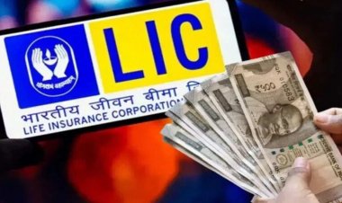 FD में पैसा रखने से पहले जान लें ये विकल्प! LIC की इन स्कीम्स से मिल सकता है बेहतर रिटर्न