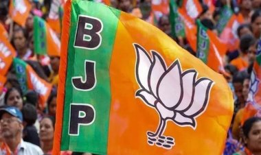 ब्रेकिंग : भाजपा ने की प्रकोष्ठों के प्रभारियों की घोषणा, इन नेताओं को मिली जिम्मेदारी, देखें पूरी लिस्ट…!!