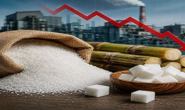 CG: छत्तीसगढ़ में उपभोक्ताओं को बड़ी राहत, 70 से घटकर 50 रुपये किलो हुआ शक्कर का भाव