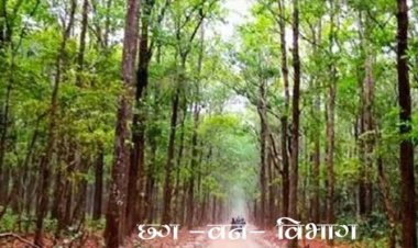 वन विभाग में 10 वर्ष से अधिक पदस्थ 966 तृतीय और 2,664 चतुर्थ श्रेणी के कर्मी होंगे नियमित