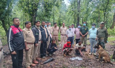  मृत भालू के नाखून काटकर ले जाने वाले दो आरोपी गिरफ्तार