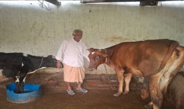 पीएम किसान सम्मान निधि की बचत से खरीदी पहली गाय, आज 10 गायों के साथ आत्मनिर्भर बने 75 वर्षीय परशुराम गुप्ता….