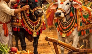 प्रतिवर्ष अनुसार रायपुर के ऐतिहासिक स्थल रामसागर पारा में होगा भव्य बैला दौड़ पोरा तिहार का आयोजन