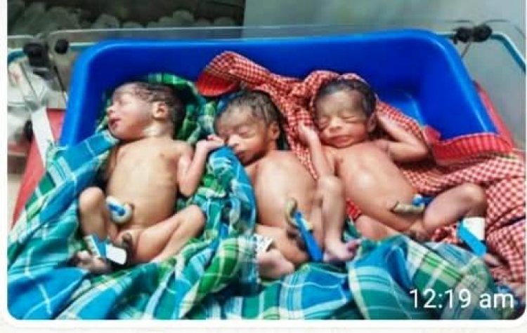 स्वास्थ्य विभाग की तत्परता से पहाड़ी कोरवा महिला ने तीन स्वस्थ नवजात शिशुओं को दिया जन्म